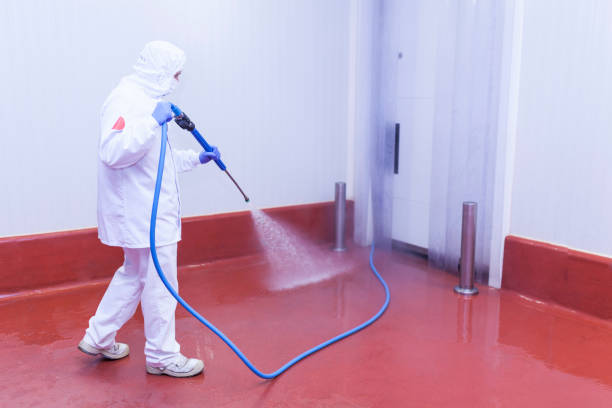 Boat and Dock Cleaning in Talent, OR